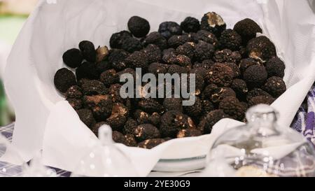 Besucher erkunden das Alba Truffle Festival in Italien und genießen die einzigartigen Aromen frischer Trüffel. Die Veranstaltung bietet Verkostungen, lokale Köstlichkeiten, Stockfoto