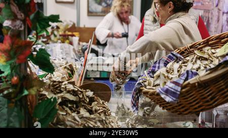 Besucher können das Alba Truffle Festival besuchen, bei dem Kunsthandwerker eine Auswahl an Trüffeln und lokalen Produkten präsentieren und regionale Aromen zelebrieren Stockfoto