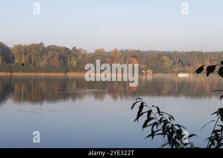 Ein ruhiger Blick auf den Straussee am frühen Morgen, mit weichem Nebel, der die Landschaft umhüllt und den lebhaften Herbst reflektiert. Stockfoto