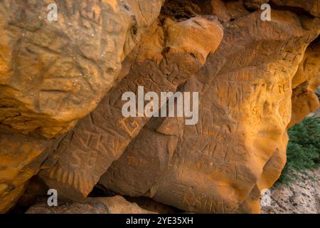 Agglestone Rock in Godlingston Heath, Studland, Dorset - ein markanter Sandsteinstein, der mit Graffitti bedeckt ist Stockfoto