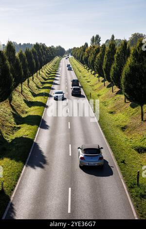 Die Dorstfelder Allee im Stadtteil Dorstfeld, von Bäumen gesäumte Allee, Dortmund, Nordrhein-Westfalen, Deutschland. Die Dorstfelder Allee im Stadtte Stockfoto