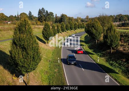 Die Dorstfelder Allee im Stadtteil Dorstfeld, von Bäumen gesäumte Allee, Dortmund, Nordrhein-Westfalen, Deutschland. Die Dorstfelder Allee im Stadtte Stockfoto