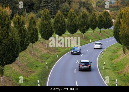 Die Dorstfelder Allee im Stadtteil Dorstfeld, von Bäumen gesäumte Allee, Dortmund, Nordrhein-Westfalen, Deutschland. Die Dorstfelder Allee im Stadtte Stockfoto