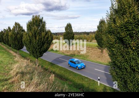 Die Dorstfelder Allee im Stadtteil Dorstfeld, von Bäumen gesäumte Allee, Dortmund, Nordrhein-Westfalen, Deutschland. Die Dorstfelder Allee im Stadtte Stockfoto