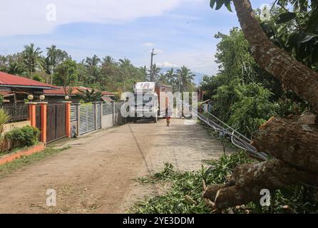 Laguna, Calabarzon, Philippinen. 25. Oktober 2024: Ein Geflügelwagen kämpft, unter herabfallenden Drähten zu fahren, weil ein Baum von starkem Wind entwurzelt ist. Der schwere tropische Zyklon Trami (Kristine) ist nach der Katastrophe im philippinischen Archipel eine der weltweit am stärksten klimagefährdeten Regionen, da das Land Südostasiens jährlich von mehreren Naturkatastrophen heimgesucht wird. Millionen Filipinos erlitten sintflutartige Regenfälle, Überschwemmungen, starke Winde, Schäden, Erdrutsche, Strom-/Internetausfälle, Evakuierung. Der tödlichste Sturm tötete 145 Menschen/37 Vermisste. Viele Gebiete sind nach wie vor isoliert. Quelle: Kevin Izorce/Alamy Live News Stockfoto