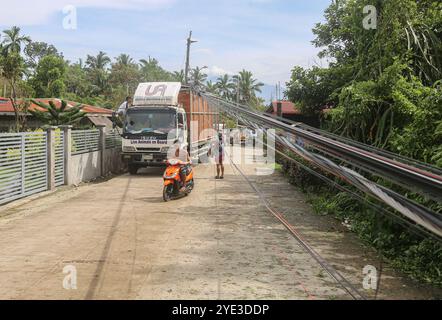 Laguna, Calabarzon, Philippinen. 25. Oktober 2024: Ein Geflügelwagen kämpft, unter herabfallenden Drähten zu fahren, weil ein Baum von starkem Wind entwurzelt ist. Der schwere tropische Zyklon Trami (Kristine) ist nach der Katastrophe im philippinischen Archipel eine der weltweit am stärksten klimagefährdeten Regionen, da das Land Südostasiens jährlich von mehreren Naturkatastrophen heimgesucht wird. Millionen Filipinos erlitten sintflutartige Regenfälle, Überschwemmungen, starke Winde, Schäden, Erdrutsche, Strom-/Internetausfälle, Evakuierung. Der tödlichste Sturm tötete 145 Menschen/37 Vermisste. Viele Gebiete sind nach wie vor isoliert. Quelle: Kevin Izorce/Alamy Live News Stockfoto