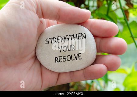 Verstärken Sie Ihren entschlossenen Text auf weißen Steinen mit Hand- und Naturhintergrund. Stockfoto