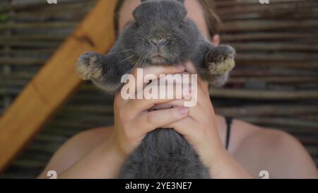 Eine junge Frau hält ein Tier in den Armen. Ein ruhiges graues Kaninchen, das von einer Person auf einem Holztisch im Freien gepflegt wird. Stockfoto