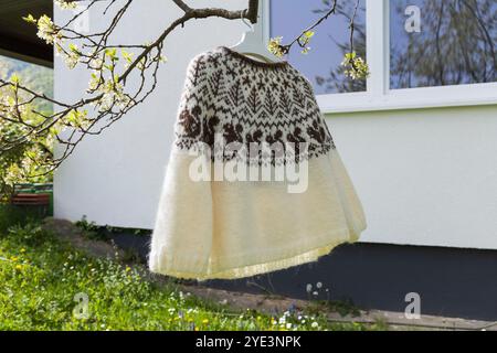 Foto eines traditionellen isländischen Strickpullovers aus Wolle, weiß-brauner Pullover mit großer Passe im Strickmuster des nordischen Eichhörnchens Stockfoto