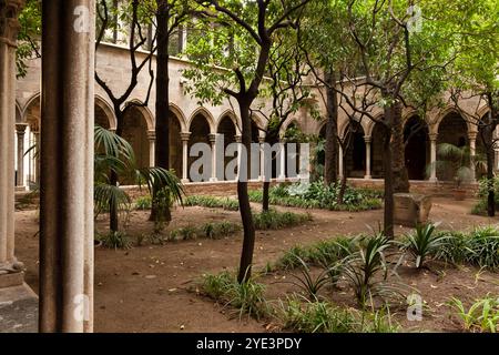 Kloster Santa Anna - Kloster - Barcelona - Spanien Stockfoto