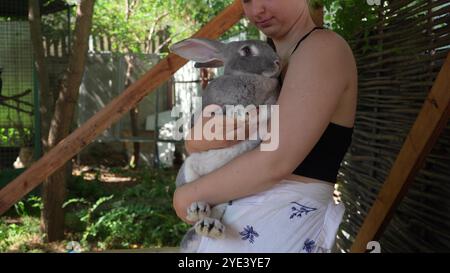 Ein ruhiges graues Kaninchen, das von einer Person auf einem Holztisch im Freien gepflegt wird. Eine junge Frau hält ein Tier in den Armen. Stockfoto