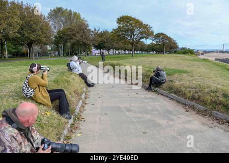 Swansea, 10. Oktober 2023, die Fotografen von Rare Bird Swansea fokussieren ihre Objektive auf den Vogel, der in Swansea erschienen ist. Ein seltener Vogel namens Wiedehopf mit seinen markanten schwarz-weißen Flügeln, der Krone aus bunten Federn und dem langen, geschwungenen Schnabel wurde in der Swansea Bay gesichtet. Die Sichtungen haben Vogelfreunde und Vogelfreunde aus ganz Großbritannien in die walisische Küstenstadt gezogen, um den Vogel aus nächster Nähe zu beobachten. Sie brüten nicht in Großbritannien und eine Sichtung ist sehr selten. Stockfoto