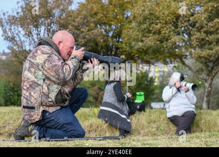 Swansea, 10. Oktober 2023, die Fotografen von Rare Bird Swansea fokussieren ihre Objektive auf den Vogel, der in Swansea erschienen ist. Ein seltener Vogel namens Wiedehopf mit seinen markanten schwarz-weißen Flügeln, der Krone aus bunten Federn und dem langen, geschwungenen Schnabel wurde in der Swansea Bay gesichtet. Die Sichtungen haben Vogelfreunde und Vogelfreunde aus ganz Großbritannien in die walisische Küstenstadt gezogen, um den Vogel aus nächster Nähe zu beobachten. Sie brüten nicht in Großbritannien und eine Sichtung ist sehr selten. Stockfoto