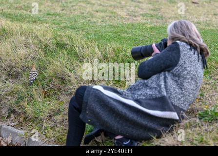 Swansea, 10. Oktober 2023, die Fotografen von Rare Bird Swansea fokussieren ihre Objektive auf den Vogel, der in Swansea erschienen ist. Ein seltener Vogel namens Wiedehopf mit seinen markanten schwarz-weißen Flügeln, der Krone aus bunten Federn und dem langen, geschwungenen Schnabel wurde in der Swansea Bay gesichtet. Die Sichtungen haben Vogelfreunde und Vogelfreunde aus ganz Großbritannien in die walisische Küstenstadt gezogen, um den Vogel aus nächster Nähe zu beobachten. Sie brüten nicht in Großbritannien und eine Sichtung ist sehr selten. Stockfoto