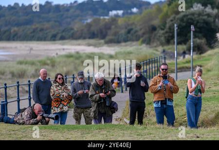 Swansea, 10. Oktober 2023, Rare Bird Swansea Menschen halten an, um einen Seufzer auf dem seltenen Wiedehopf Vogel in Swansea zu machen. Ein seltener Vogel namens Wiedehopf mit seinen markanten schwarz-weißen Flügeln, der Krone aus bunten Federn und dem langen, geschwungenen Schnabel wurde in der Swansea Bay gesichtet. Die Sichtungen haben Vogelfreunde und Vogelfreunde aus ganz Großbritannien in die walisische Küstenstadt gezogen, um den Vogel aus nächster Nähe zu beobachten. Sie brüten nicht in Großbritannien und eine Sichtung ist sehr selten. Stockfoto