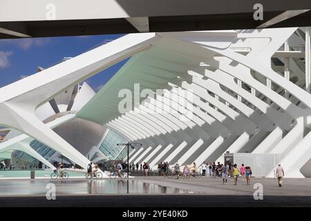Valencia, Spanien - 14. August 2023: Menschen schlendern durch die Stadt der Künste und Wissenschaften in Valencia, Spanien. Stockfoto