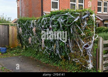 Salisbury, Wiltshire, Großbritannien. Oktober 2024. Ein Haus in Salisbury in Wiltshire, dekoriert mit Skeletten und Spinnweben für Halloween. Bildnachweis: Graham Hunt/Alamy Live News Stockfoto