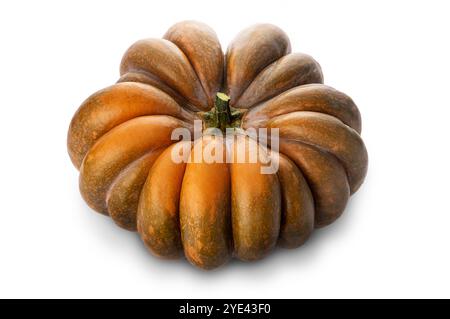 Kürbis isoliert auf weißem Hintergrund, Konzept für Herbstdankfest und halloween Stockfoto