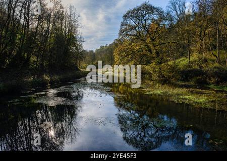 Herbst in Bradford Dale, Youlgreave, Peak District National Park, Derbyshire Stockfoto