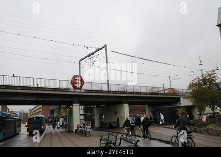 Kopenhagen/Dänemark/29. Oktober 2024/Tauben sitzen auf einem elektrischen Zugkabel am Bahnhof norrebro in Kopenhagen. (Foto. Francis Joseph Dean/Dean Pictures) (nicht für kommerzielle Zwecke) Stockfoto