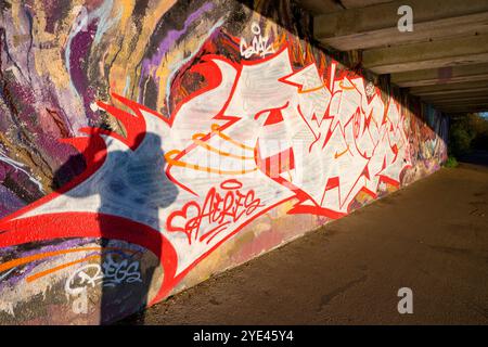 Graffiti und Schatten unter der Donnington Brücke über die Themse. Es ist früh an einem Herbstmorgen und ich bin auf meinem täglichen Spaziergang. Ich bin unter der Donnington Brücke über die Themse, direkt unterhalb von Oxford. Dies ist eine moderne Straßenbrücke, die die B4495 von der Abingdon Road zur Iffley Road führt. Er überquert den Fluss an der Grenze zwischen Iffley Lock und Osney Lock. Dies ist Teil des Thames Path Walkway, einer Strecke, die häufig von Radfahrern, Joggern und Hundebesitzern besucht wird - ganz zu schweigen von Fotografen! Hier sehen wir, wie mein Schatten die Brücke inspiziert. Stockfoto