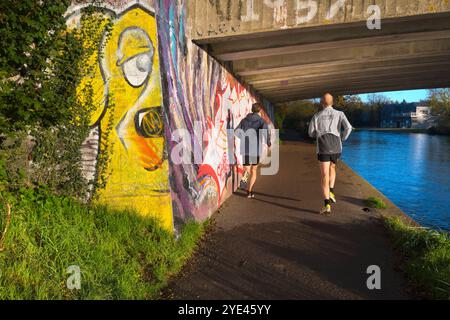 Graffiti und Schatten unter der Donnington Brücke über die Themse. Es ist früh an einem Herbstmorgen und ich bin auf meinem täglichen Spaziergang. Ich bin unter der Donnington Brücke über die Themse, direkt unterhalb von Oxford. Dies ist eine moderne Straßenbrücke, die die B4495 von der Abingdon Road zur Iffley Road führt. Er überquert den Fluss an der Grenze zwischen Iffley Lock und Osney Lock. Dies ist Teil des Thames Path Walkway, einer Strecke, die häufig von Radfahrern, Joggern und Hundebesitzern besucht wird - ganz zu schweigen von Fotografen! Stockfoto