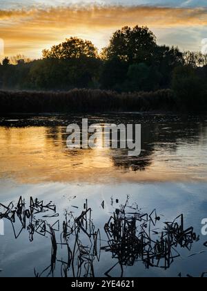 Sonnenaufgang über einem wunderschönen Abschnitt der Themse am Radley Boathouse. Das 1921 gegründete Bootshaus dient seit über einem Jahrhundert Radley College und einheimischen Ruderfreunden. Die Aussicht von hier kann besonders schön sein bei Sonnenaufgang - wie hier. Stockfoto