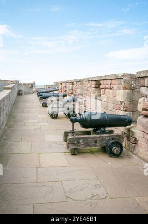 Kanonen auf Battery Terrace Bamburgh Castle Northumberland Großbritannien Stockfoto