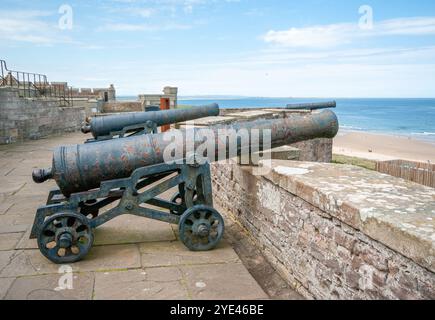 Kanonen auf Battery Terrace Bamburgh Castle Northumberland Großbritannien Stockfoto