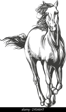 Pferd, das Pferd galoppiert schnell, Logo, handgezeichnete Vektor-Illustration realistische Skizze. Stock Vektor