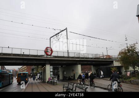 Kopenhagen/Dänemark/29. Oktober 2024/Tauben sitzen auf einem elektrischen Zugkabel am Bahnhof norrebro in Kopenhagen. Foto. Bilder von Francis Joseph Dean/Dean sind nicht für kommerzielle Zwecke bestimmt Stockfoto