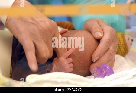 PRODUKTION - 22. August 2024, Sachsen-Anhalt, Halle (Saale): In der Entbindungsklinik des St. Elisabeth- und St. Barbara-Krankenhauses hält das wenige Stunden alte Baby am Finger seiner Mutter fest. Foto: Waltraud Grubitzsch/dpa Stockfoto