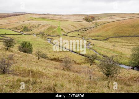 Blick auf Bookil Gill & Long Preston Beck von der Spitze des Weges, der zur New Weide Plantage, Yorkshire dales führt Stockfoto