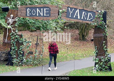 Glasgow, Schottland, Großbritannien. Oktober 2024. Halloween kehrt als „Glasglow“ im Botanics Park im grünen West End zurück, leidet unter gruseligen Clowns, dem skelton Friedhof und einem geschnitzten Kürbisfeld. Credit Gerard Ferry /Alamy Live News Stockfoto