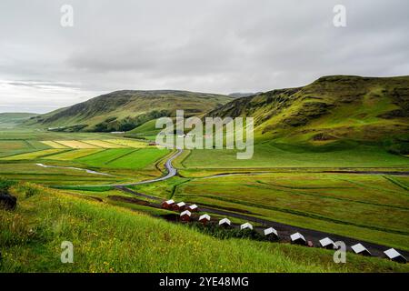 Isländische Landschaft in der Nähe von Vik Stockfoto