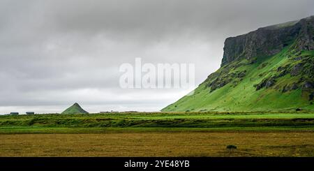 Isländische Landschaft in der Nähe von Vik Stockfoto