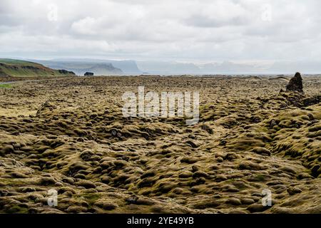 Eldhraun Lava Fields, Island Stockfoto