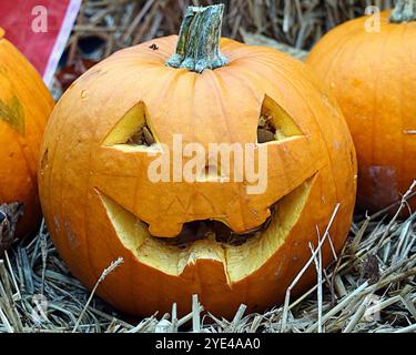 Glasgow, Schottland, Großbritannien. Oktober 2024. Halloween kehrt als „Glasglow“ im Botanics Park im grünen West End zurück, leidet unter gruseligen Clowns, dem skelton Friedhof und einem geschnitzten Kürbisfeld. Credit Gerard Ferry /Alamy Live News Stockfoto