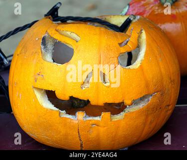 Glasgow, Schottland, Großbritannien. Oktober 2024. Halloween kehrt als „Glasglow“ im Botanics Park im grünen West End zurück, leidet unter gruseligen Clowns, dem skelton Friedhof und einem geschnitzten Kürbisfeld. Credit Gerard Ferry /Alamy Live News Stockfoto