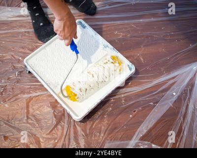 Detail einer weiblichen Hand, die eine Malerwalze nimmt und sie in weiße Farbe taucht Stockfoto