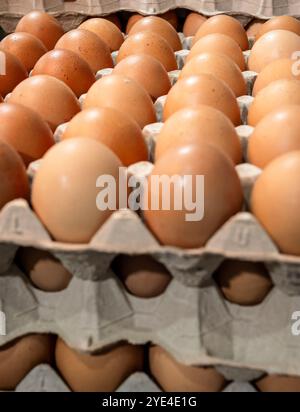 Ein Stapel Eier in Kartons mit den Buchstaben L und U auf den Kartons. Die Eier haben alle die gleiche Größe und Farbe Stockfoto