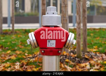 Gersthofen, Bayern, Deutschland - 29. Oktober 2024: Roter Hydrant im Herbst. Symbolisches Bild der Wasserquelle der Feuerwehr während eines Brandes *** Roter Hydrant im Herbst. Symbolbild Wasserquelle für die Feuerwehr bei einem Brand Stockfoto