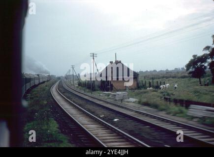 Russland. August 1961: Ein Blick aus dem Fenster einer Dampfeisenbahn, aufgenommen während einer Reise von Moskau, Russland nach Ost-Berlin, DDR. Stockfoto