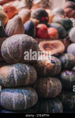 Kürbisse in verschiedenen Größen und Formen auf einem Markt. Filmisches atmosphärisches Bild. Halloween-Set Stockfoto