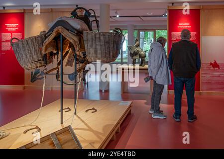 Garnelenausrüstung für Zugpferde mit Dragnet im NAVIGO Visserijmuseum, Fischereimuseum in Oostduinkerke, Koksijde, Westflandern, Belgien Stockfoto