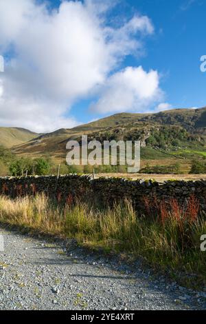 Dramatische Landschaft im Kentmere Valley nördlich von Kendal im Lake District National Park, Cumbria, England. Stockfoto