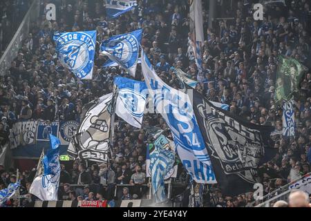 Augsburg, Deutschland. Oktober 2024. Fußball: DFB Cup, FC Augsburg - FC Schalke 04, 2. Runde, WWK-Arena. Schalke Fans mit Fahnen. Hinweis: Harry langer/dpa - WICHTIGER HINWEIS: Gemäß den Vorschriften der DFL Deutschen Fußball-Liga und des DFB Deutschen Fußball-Bundes ist es verboten, im Stadion und/oder des Spiels aufgenommene Fotografien in Form von sequenziellen Bildern und/oder videoähnlichen Fotoserien zu verwenden oder zu verwenden./dpa/Alamy Live News Stockfoto