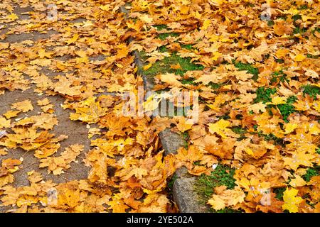 Gersthofen, Bayern, Deutschland - 29. Oktober 2024: Laub bedeckt einen Gehweg im Herbst, sorgt für eine bunte, aber rutschige Oberfläche Stockfoto