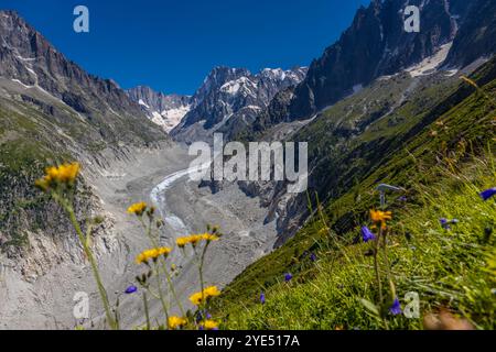 Gletscher Mer de Glace in den Alpen. Der größte Gletscher im Chamonix Montblanc Tal und die Gipfel der Droites und Grand Jorasses im Hintergrund Stockfoto