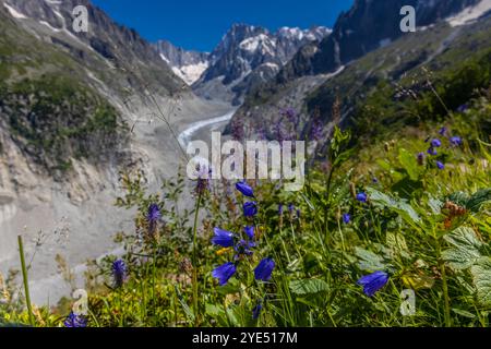 Gletscher Mer de Glace in den Alpen. Der größte Gletscher im Chamonix Montblanc Tal und die Gipfel der Droites und Grand Jorasses im Hintergrund Stockfoto